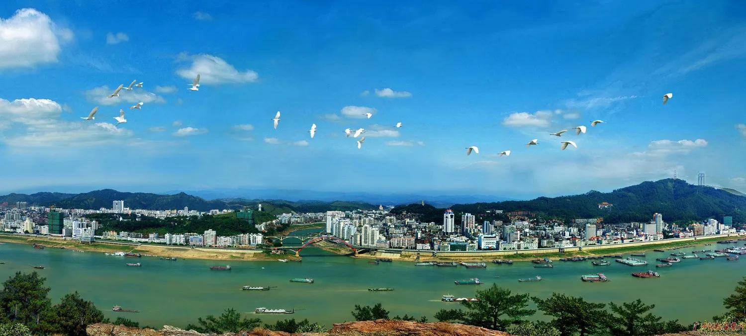 梧州2022年gdp(2022年梧州各县gdp)