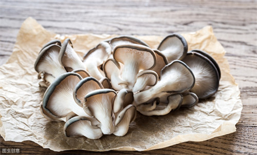 蘑菇生长环境(蘑菇生长的温度和湿度)