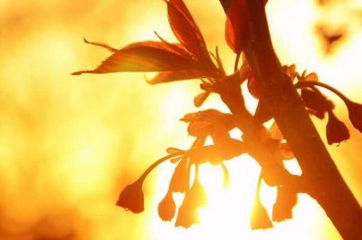 ​麻衣相面相口诀 麻衣相法口诀全文详解