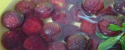 ​杨梅如何清洗泡酒 杨梅如何清洗才能吃