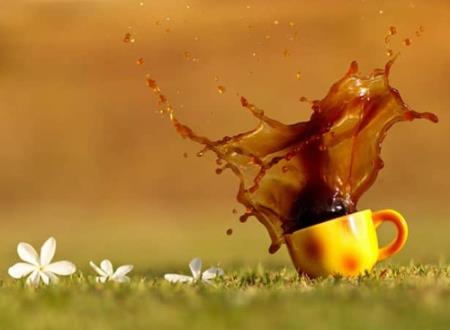 摩羯座女生爱你的21个表现