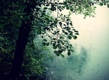 跟女朋友分手送什么