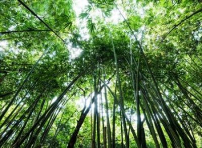 ​怎样接吻才算初吻没了