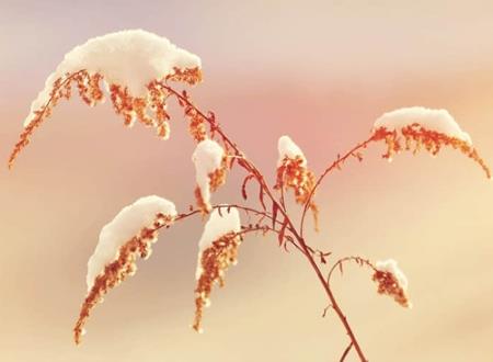 水瓶座女和狮子座男相配指数