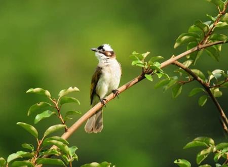 巨蟹男喜欢什么类型的女生外表