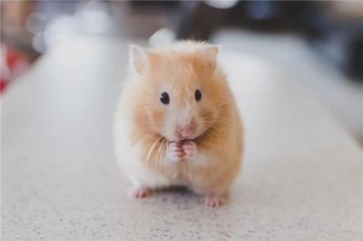 ​男人手上有几个斗最好