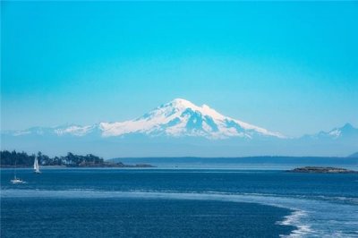 ​2024年2月18日十二生肖运势每日播报