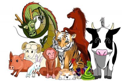 ​12属相排序表