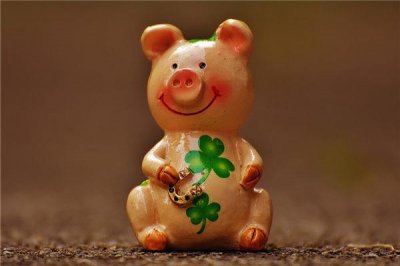 ​1971年属于什么生肖的