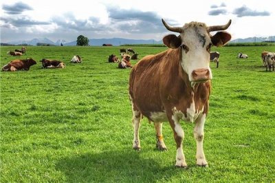 ​1961年是什么年