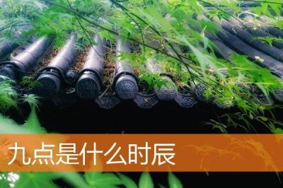 ​九点是什么时辰