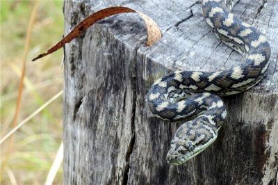 ​53年属什么今年多大