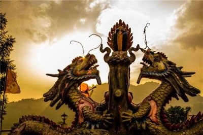 ​1976是什么生肖年