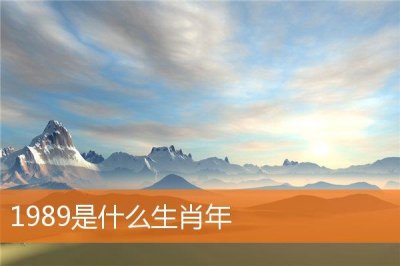 ​1989是什么生肖年