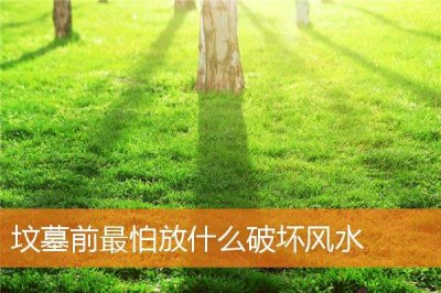 ​坟墓前最怕放什么破坏风水