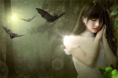 ​蝙蝠飞到家里是什么预兆