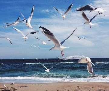 ​盘点那些让12星座放荡不羁的旅游地