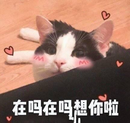 搞笑图片:情人节发给男朋友的表情包