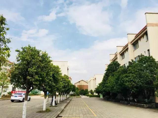 中国最具影响力、权威性大学排名出炉！云南最牛的独立学院既然是