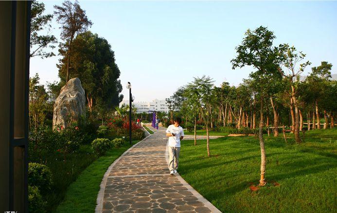 中国最具影响力、权威性大学排名出炉！云南最牛的独立学院既然是