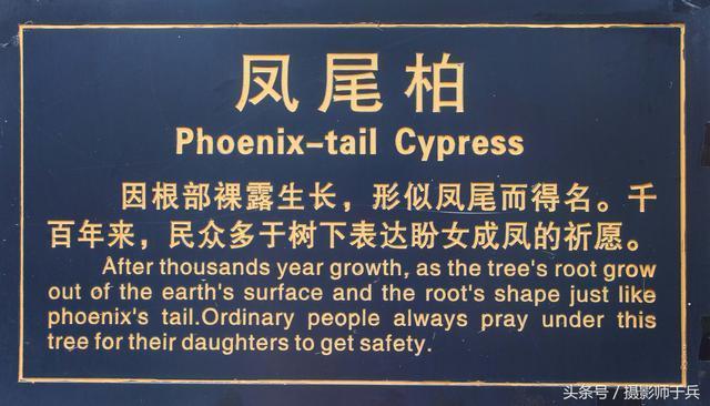 洛阳关林庙-武圣关羽葬首之所!