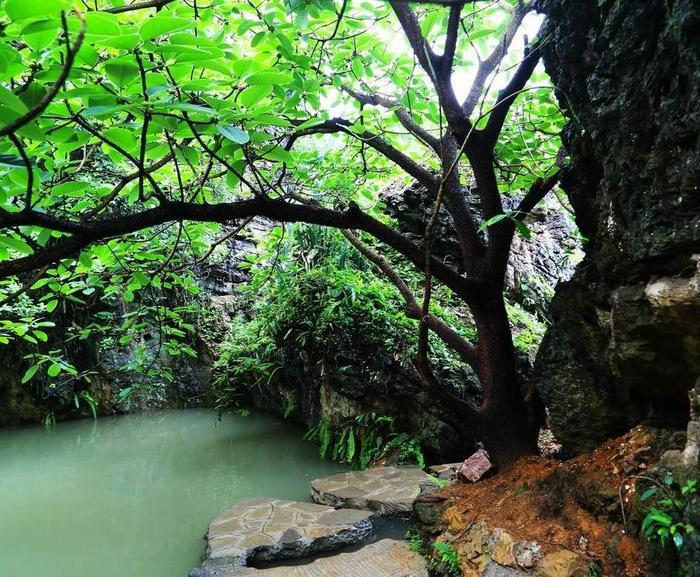 第一次去黄果树怎么玩？