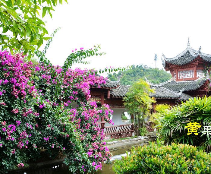 第一次去黄果树怎么玩？