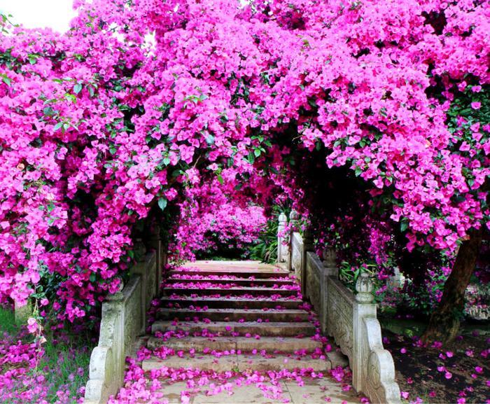 第一次去黄果树怎么玩？