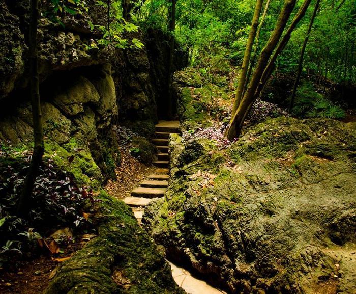 第一次去黄果树怎么玩？