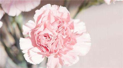 苦命的女人,往往有这几个特征