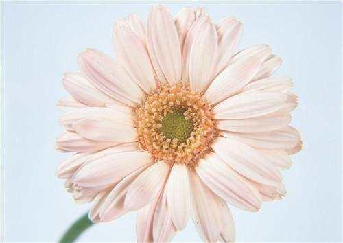 苦命的女人,往往有这几个特征