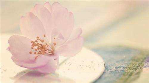 苦命的女人,往往有这几个特征