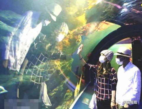 日本星二代花光母亲遗产去牛郎店,下海拍片还债还当风俗女?