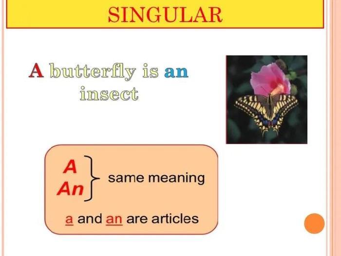 不定冠词A与An的用法:在句子中何时使用A或An