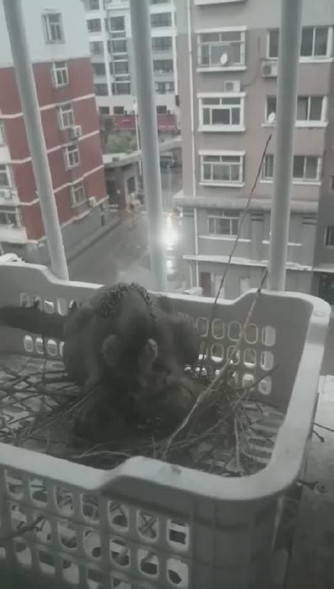 人来鸟不惊 相看两不厌