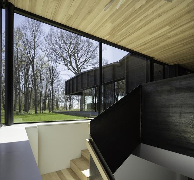 筑讯设计:带你进小树林,看这对情侣的激情小屋