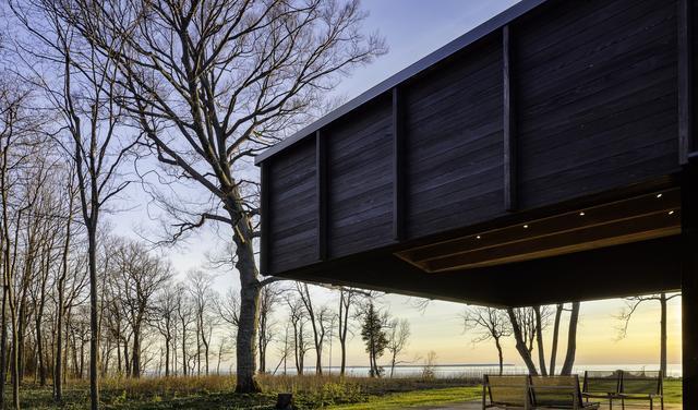 筑讯设计:带你进小树林,看这对情侣的激情小屋