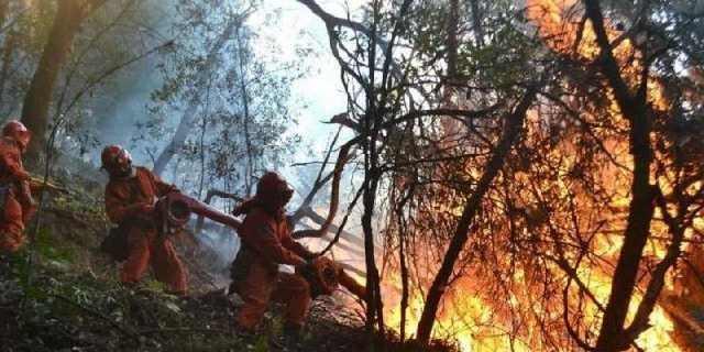 凉山救火烈士张帅,什么时候入党,什么时候再回家,让人泪目!