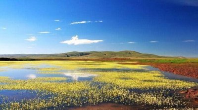 ​黄河流经中国几个省？你知道吗？