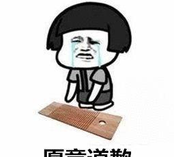 认错表情包可爱版