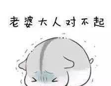 认错表情包可爱版