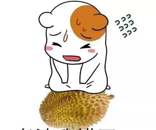 认错表情包可爱版