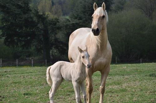 属马2021年最倒霉的月份,三月霉运接连而至