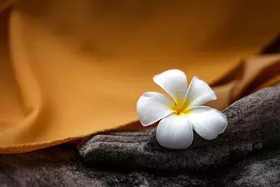 这些生肖中年受女色,三十便知天命!