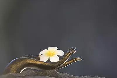 这些生肖中年受女色,三十便知天命!