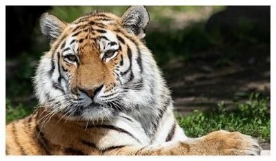 ​关于1962年属虎男的那些事 62年属虎男的桃花运