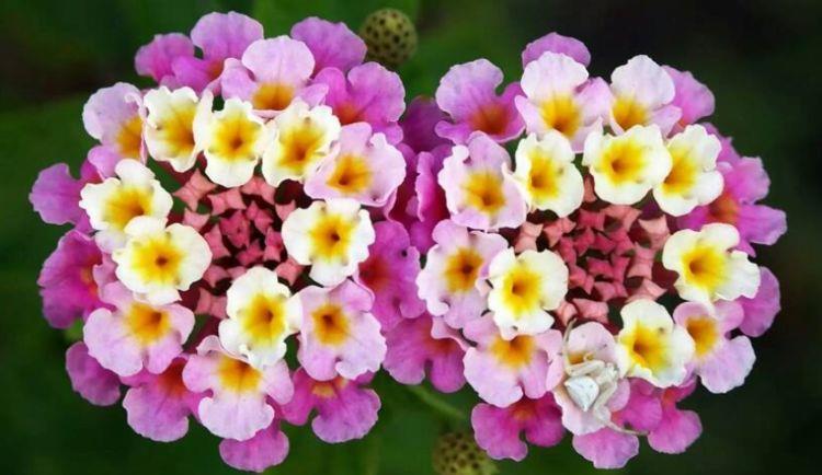 1996年属鼠是什么命女:96年属鼠农历11月16是什么命，谢谢回答？