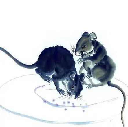 鼠的利月(属鼠的和什么属相最配、相克)