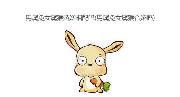 男属兔女属猴婚姻相配吗(男属兔女属猴合婚吗)