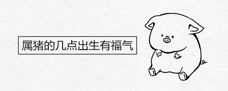 属猪的几点出生有福气 不同时辰命运解析 属猪几点出生最好 其他时辰出生的属猪人命运